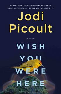 Wish You Were Here by Jodi Picoult